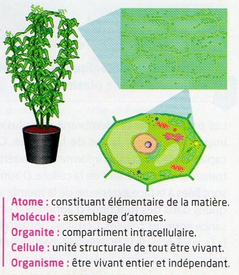 Image2.jpg