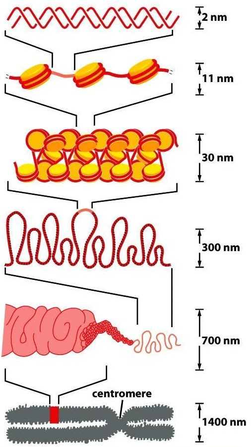 pod_14_1s_act1_condensation.jpg
