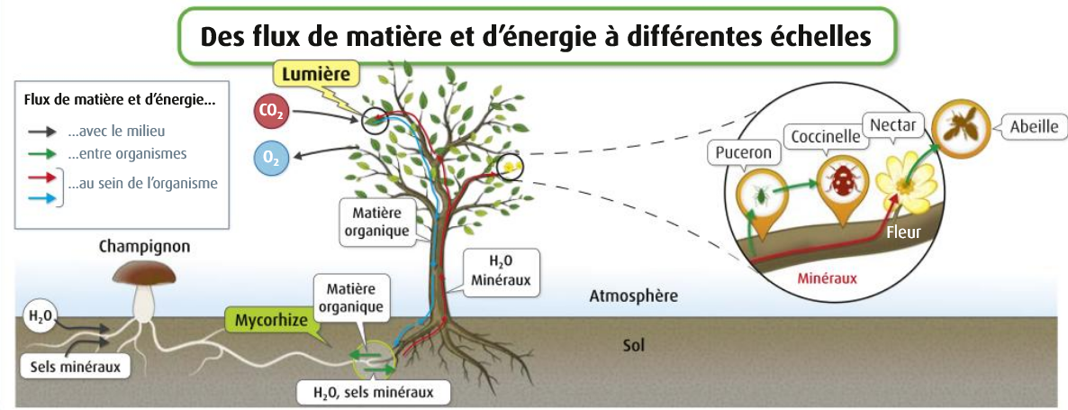 bilan2.png