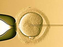 procreation.jpg