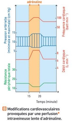 Image3.jpg